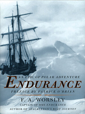 cover image of Endurance